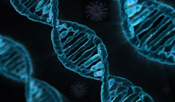Las bacterias se convierten en una memoria portátil