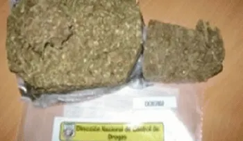 La marihuana continúa como droga de más consumo en RD