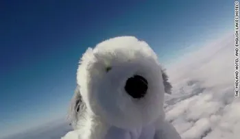 Buscando a Sam: niños de colegio quieren encontrar al perro de peluche que mandaron al espacio
