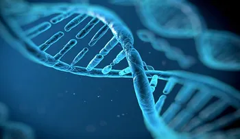 Un equipo español identifica mecanismo que repara daños en el ADN por algunas quimioterapias