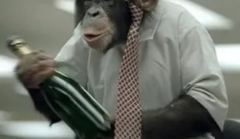 Los chimpancés en África consumen alcohol de forma voluntaria