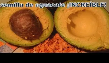 La semilla de aguacate: un poderoso remedio natural (VIDEO)