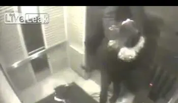 Todo parecía tranquilo y normal, pero sucede algo con uno de los dos perros (VIDEO)