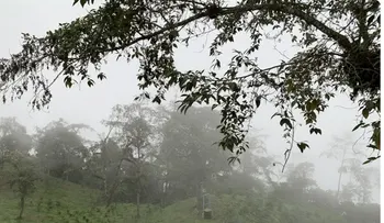 Frajares, un referente del café de especialidad en el Chocó Andino de Ecuador