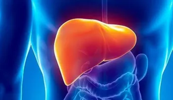 Alimentos y sustancias nocivos para el hígado humano