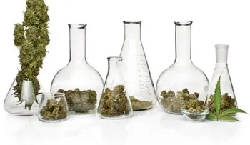 Marihuana contra la epilepsia severa en niños