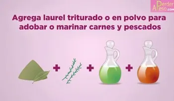 3 formas de usar el laurel para desintoxicar el organismo (Video)