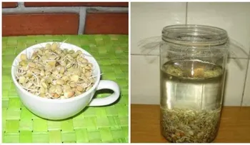 Conoce la bebida que te hace rejuvenecer por su alto y rico contenido en enzimas. ¡BUENISIMA!