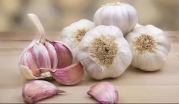  10 beneficios del consumir ajo con frecuencia