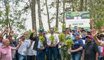 Senado realiza jornada de reforestación en río Nizao
