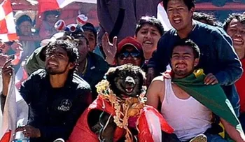 La oposición usa un "perro" contra la campaña de Evo Morales para reelegirse
