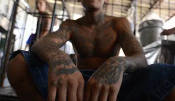 ¿Llegaron las maras a frontera con Washington?: Investigan asesinato de un menor salvadoreño