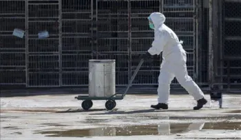Muere una mujer contagiada con una nueva mutación del virus de la gripe aviar