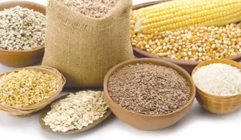 Los 7 granos más importantes de la dieta mediterránea, y cómo se comen