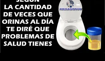 Problema de tu salud, según la cantidad de orinas al día