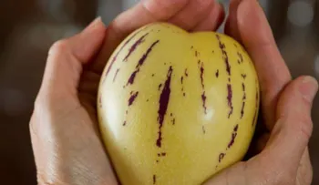 6 beneficios del pepino dulce para la salud