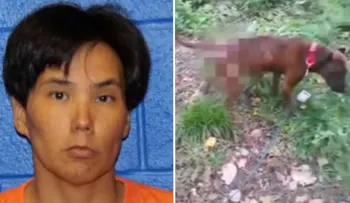 Conmoción en EEUU: una mujer filmó cómo violaba a su perro y compartió el video en redes sociales