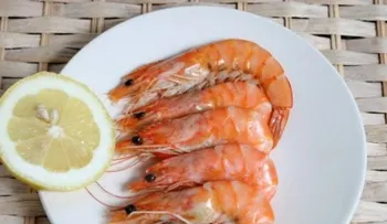 El mercurio de los mariscos aumenta riesgo de enfermedades autoinmunes