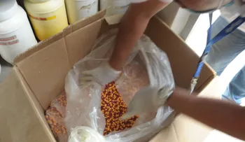 Desmantelan laboratorio clandestino de medicamentos en Arroyo Hondo