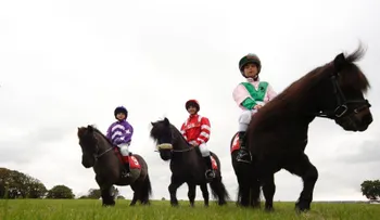 ¿Es esta la carrera de caballos más tierna del mundo?
