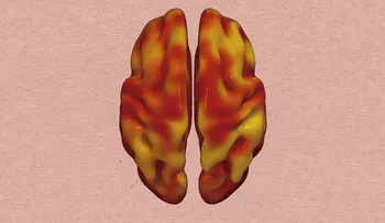 Riesgo cardiovascular y declive cerebral se asocian en la mediana edad