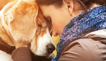 Las mascotas benefician a personas con enfermedades mentales