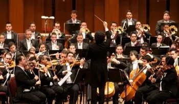 Escuchar música clásica activa genes asociados a la actividad cerebral