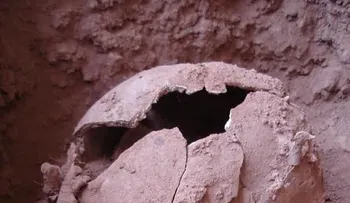 Encuentran el Brasil el caso de decapitación más antiguo del continente