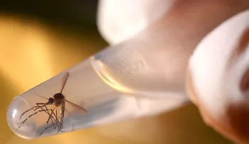Autoridades reportan 1.145 nuevos casos del virus del Zika en Puerto Rico