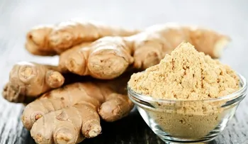 Alimentos contra las infecciones: ajo, canela, toronja, cúrcuma, yogur, jengibre...