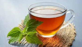 La asombrosa hierba de ortiga: un elixir desconocido para la salud y la juventud eterna