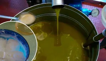 Soy doctora y jamás pensé que el aceite ricino con bicarbonato sodio podía hacer esto por mi