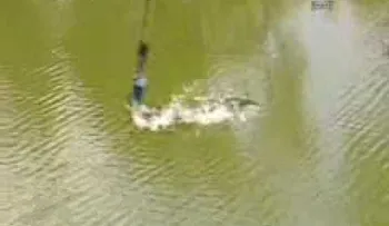 Hombre salta en bungee y termina decapitado por un cocodrilo