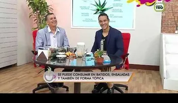 La sábila tiene grandes propiedades para el cuerpo y la piel, lo que no sabíamos de esta planta 