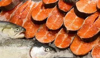10 principales alimentos que causan cáncer