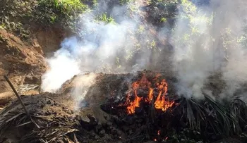 Apresan hombres depredaban la Cordillera Central 