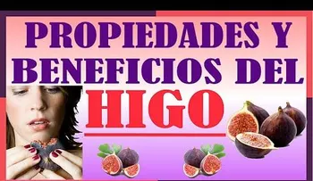 Higo, el fruto de septiembre (VIDEO...propiedades y beneficios)