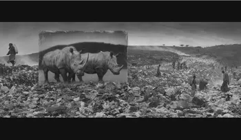 El fotógrafo que retrata "animales fantasma"