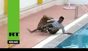Un leopardo asalta una escuela en la India
