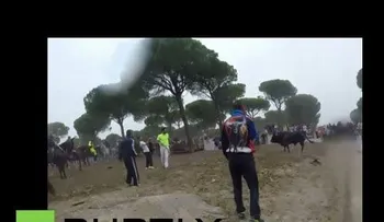 Así fue como mataron al Toro de la Vega (VIDEO)