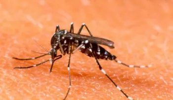 Mayo Clinic empieza el desarrollo de una vacuna contra el virus del Zika