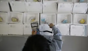 Cinco superenfermedades que amenazan a la humanidad