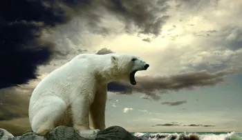 La extinción del planeta es una realidad: el punto irreversible de temperatura ha sido superado