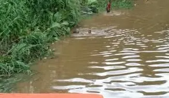 Siguen buscando cuerpo de niño cayó al río La Yuca
