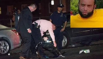Un dominicano muere en Brooklin arrollado por un vehículo 