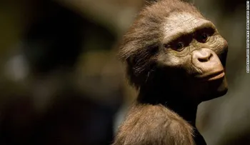 Así murió Lucy, nuestro ancestro más antiguo, hace 3 millones de años