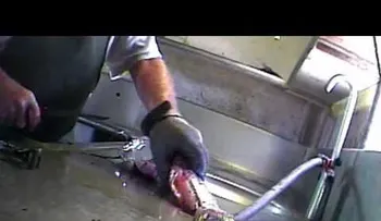 VIDEO viral del pescado