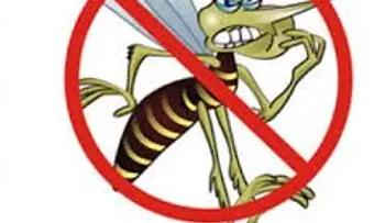 Pide a población combatir dengue desde la casa