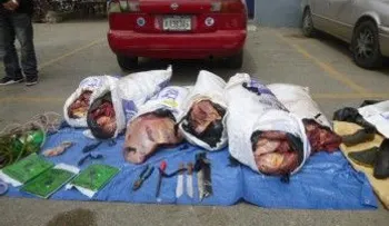 Policías balean tres cuatreros