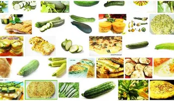 Las mil posibilidades y beneficios del calabacín